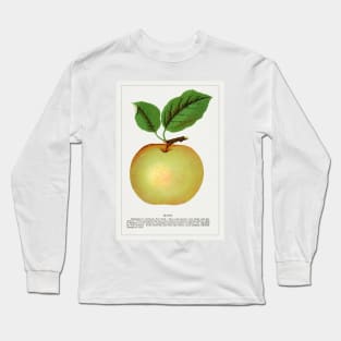 Mann Apple Lithograph (1900) Long Sleeve T-Shirt